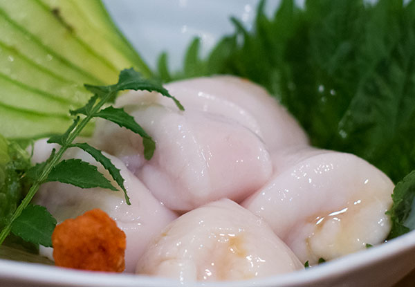 白子