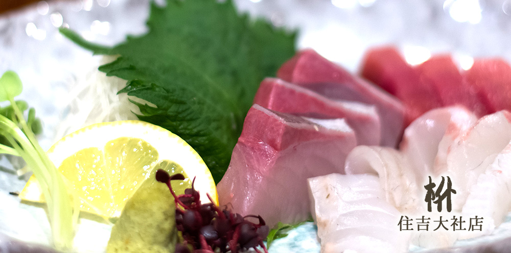 料理写真